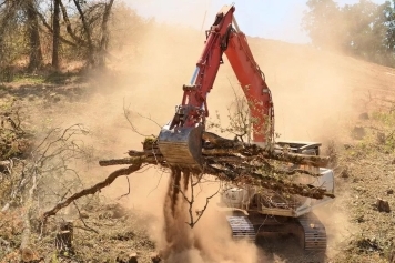 Land Clearing service image