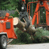 Emergency Tree Services: How to Handle Storm Damage to Your Trees related image