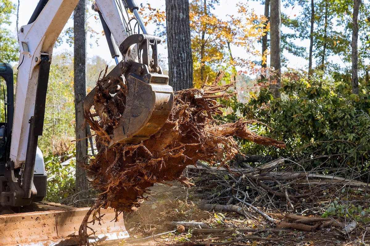 Land Clearing 101: Everything You Need to Know Before You Start hero image